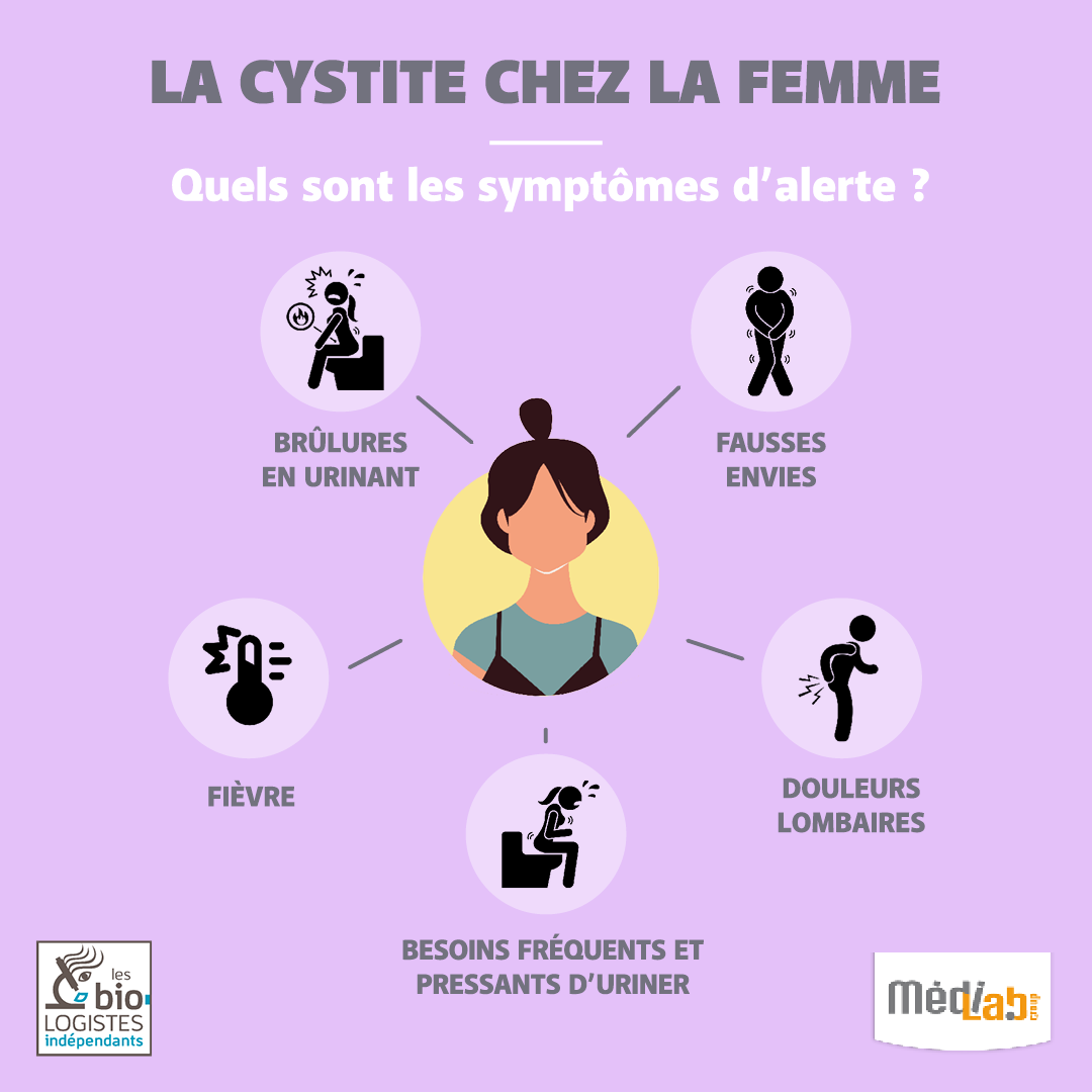 Lettre d’information La cystite chez la femme Medilab — free download